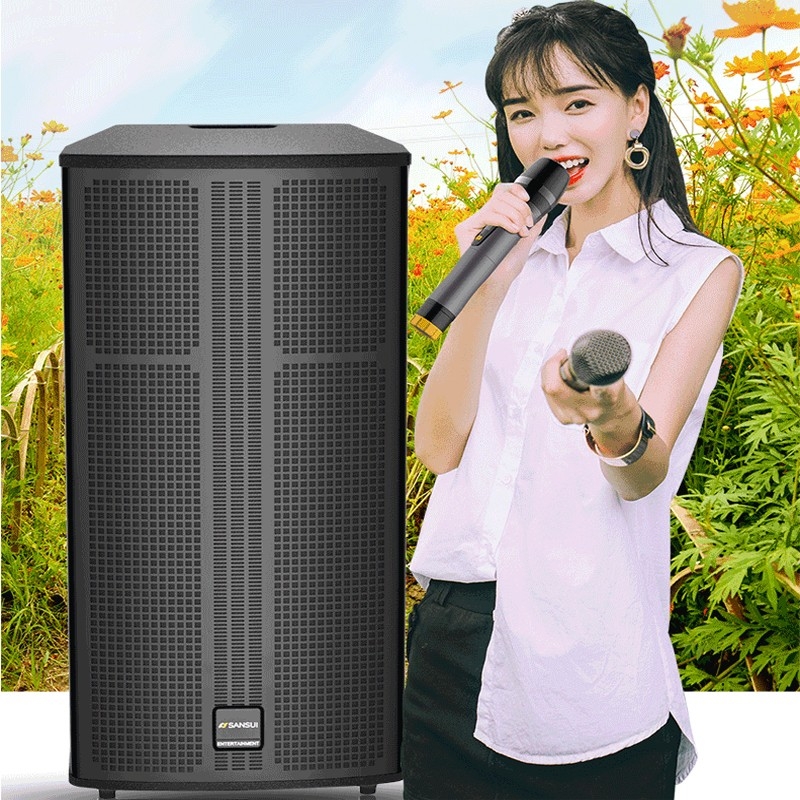 山水（sansui） SG11-15 音箱 大功率广场舞音箱 户外移动便携式音响 三分频舞台演绎乐器弹唱户外音响 15寸三分频五喇叭重低音音箱+专业金属U段话筒
